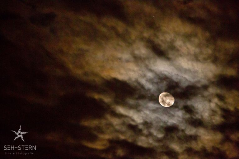 Hochzeit feiern in der Hirschau MÃ¼nchen