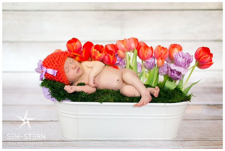 kreative Neugeborenenfotos MÃ¼nchen