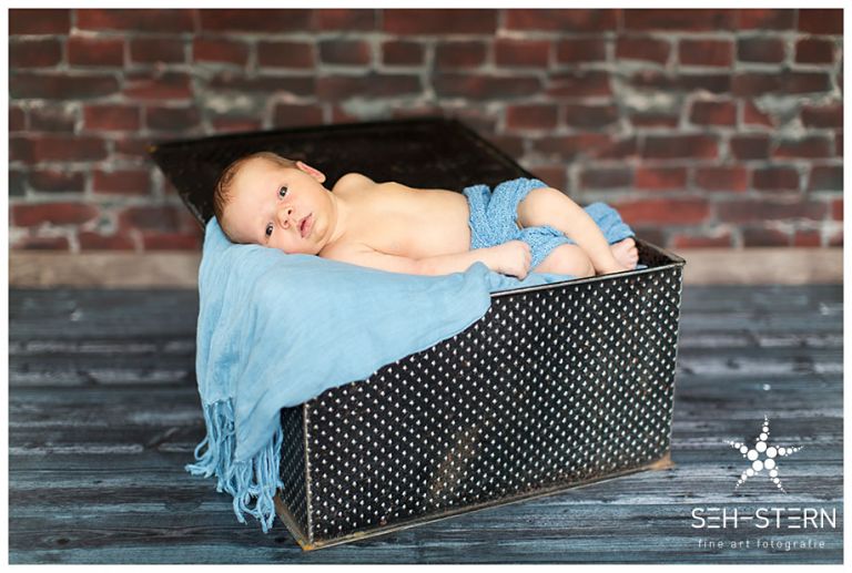 Babyfotograf Westend