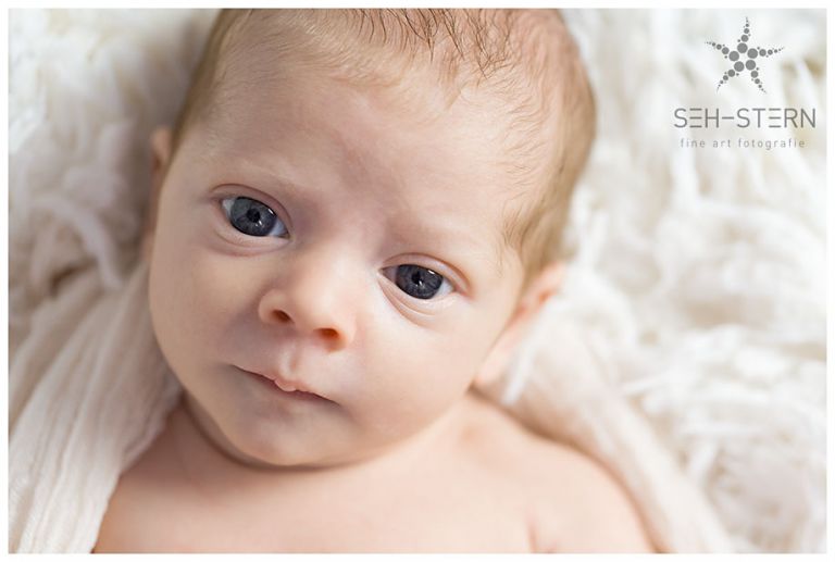 Baby-Fotograf Starnberg