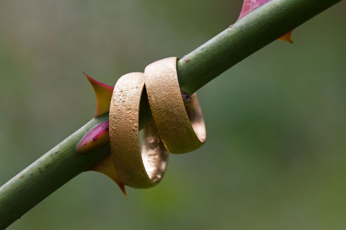 Hochzeitsfotos & Hochzeitsfotoreportage München | Fotografin Marion Hogl Seh-Stern