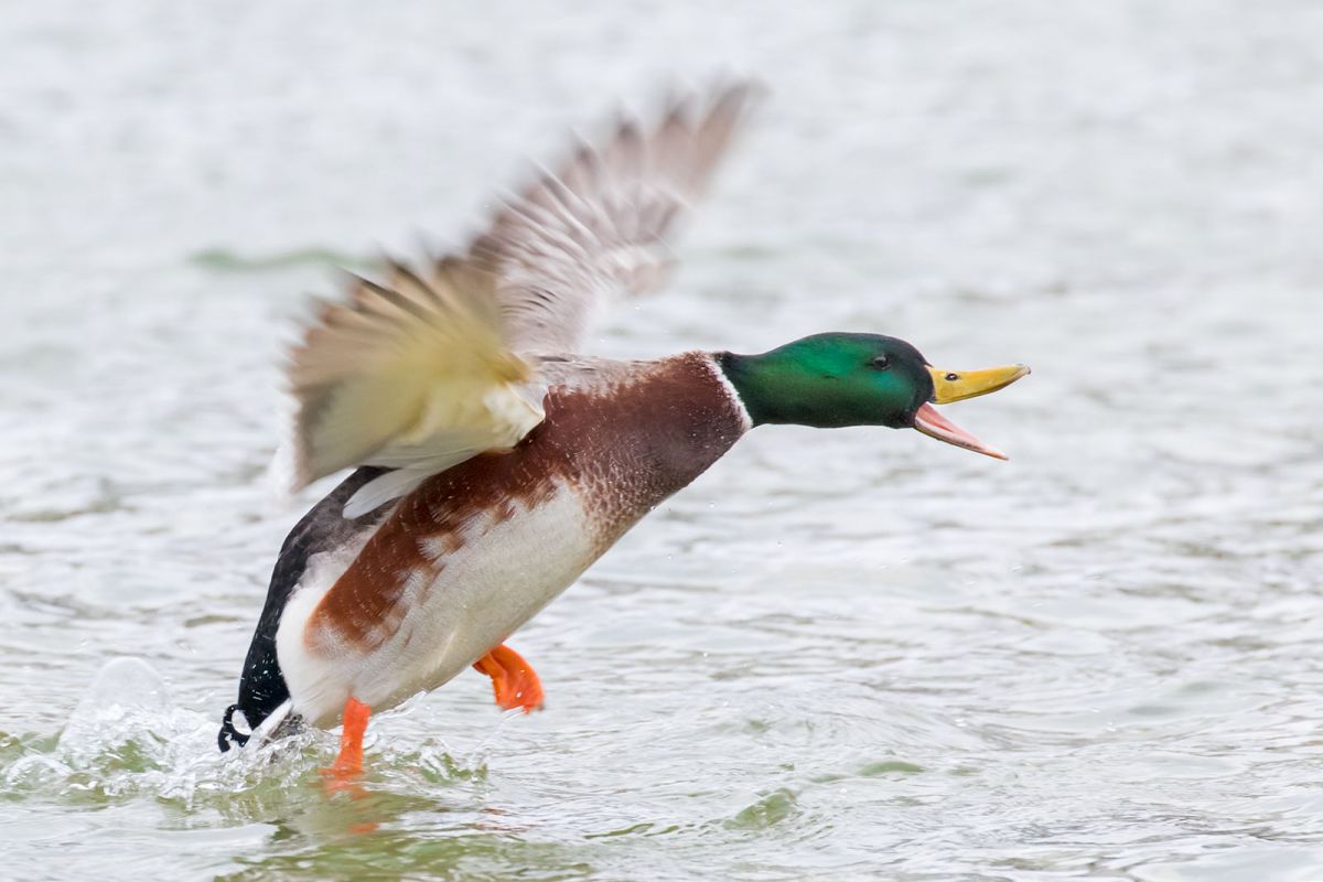 Fotoworkshop München