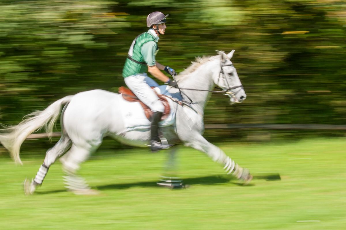 Pferdefotografie München