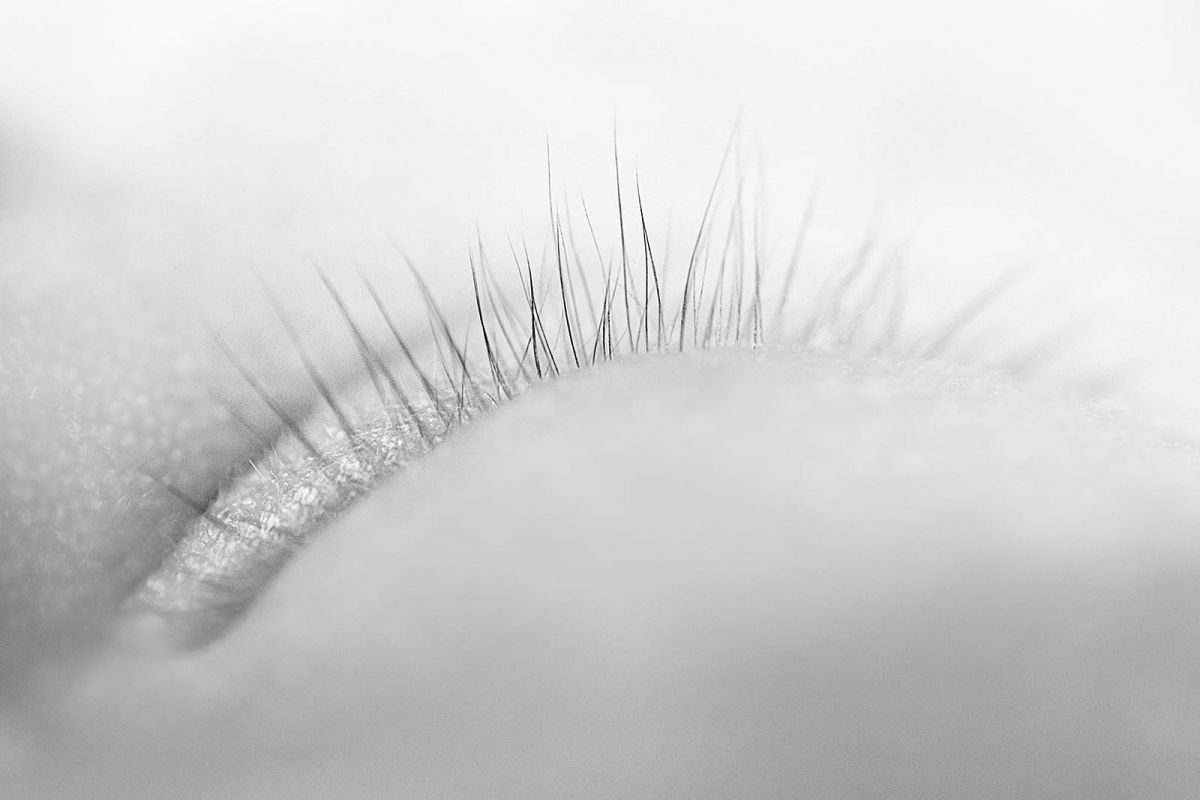 Babyfotografie und Neugeborenenfotos in München