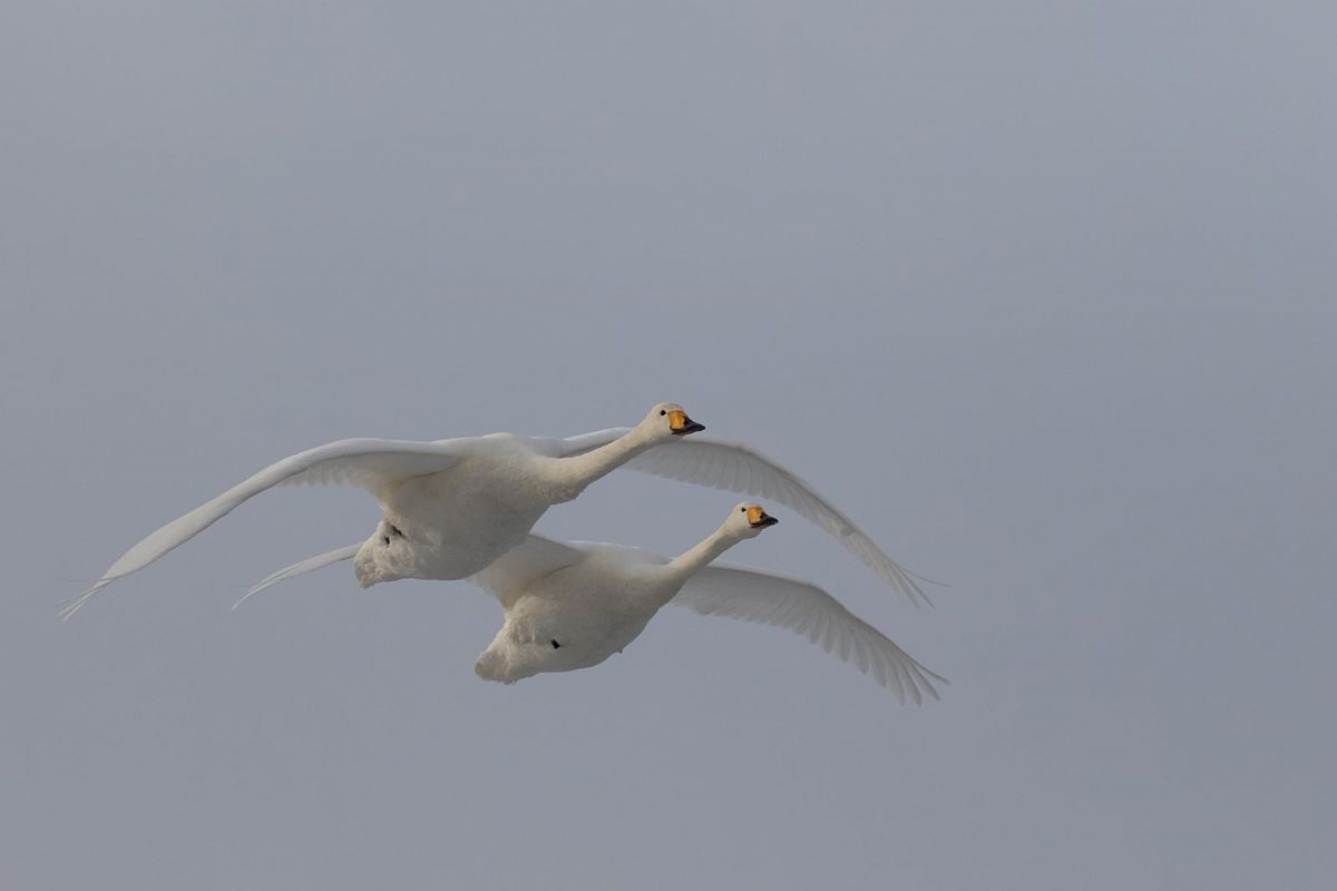 Fotowissen leicht gemacht mit Fototrainerin Marion Hogl aus München