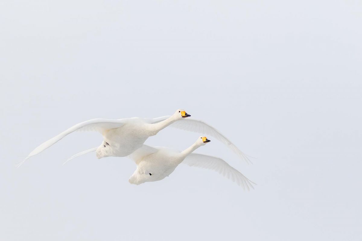 Fotowissen leicht gemacht mit Fototrainerin Marion Hogl aus München